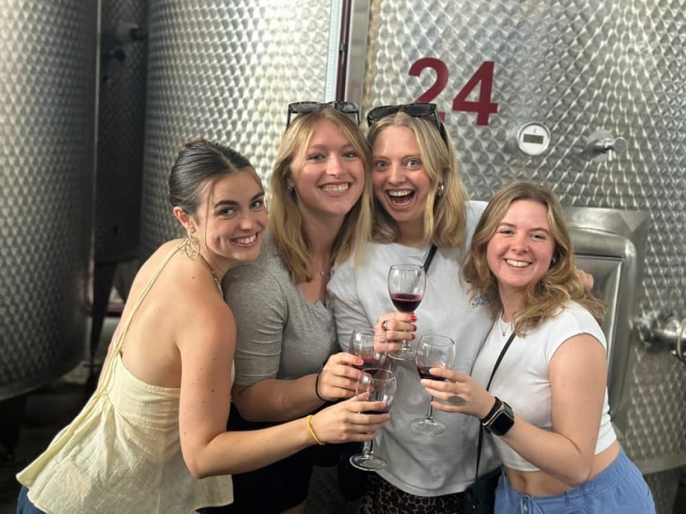 Tbilisi: Kakheti Wine Region Tour with 8 Wine Tastings | ®ExcursionMania - Image 6