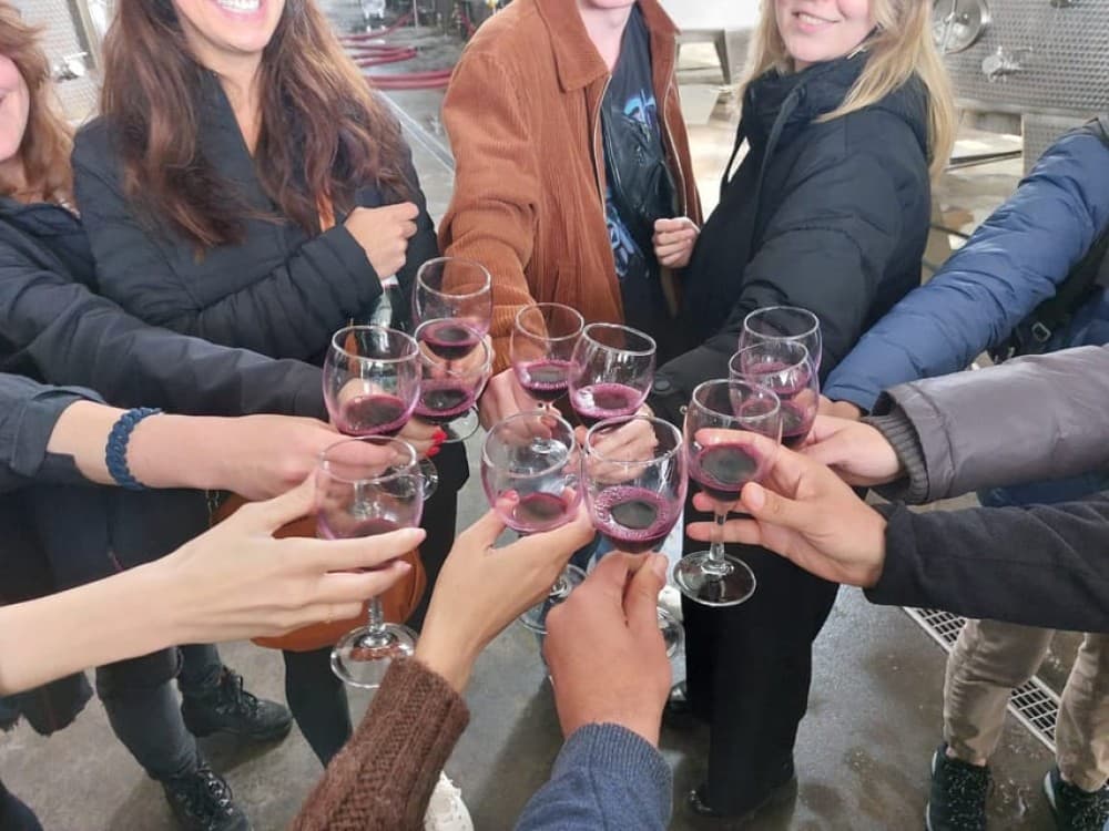 Tbilisi: Kakheti Wine Region Tour with 8 Wine Tastings | ®ExcursionMania - Image 8