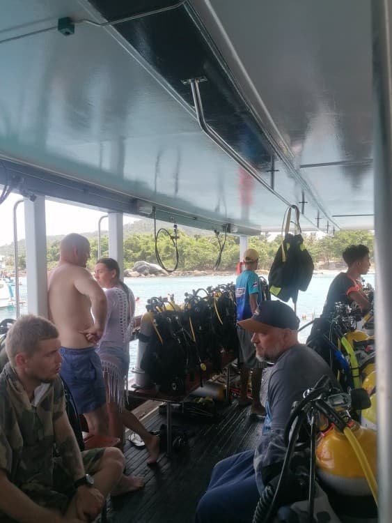 SSI  Padi Open Water Course in Phuket | ®ExcursionMania - Image 6