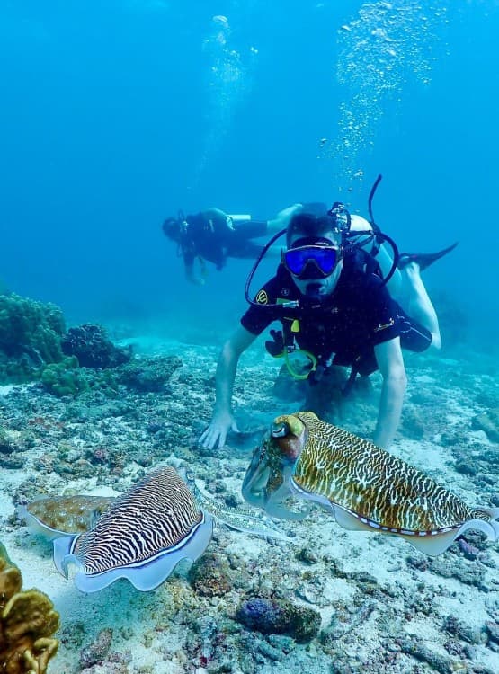 SSI  Padi Open Water Course in Phuket | ®ExcursionMania - Image 7