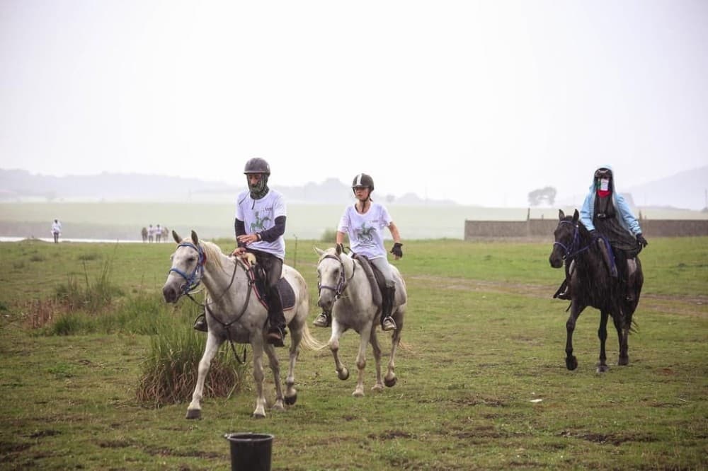 Tbilisi: Kakheti Horse Riding, Wine Tasting, and Cooking | ®ExcursionMania - Image 1