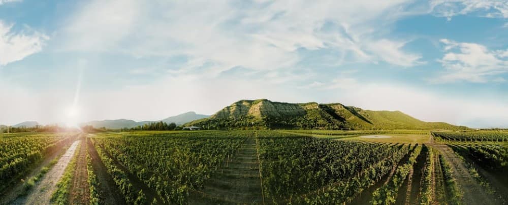 Tbilisi: Kakheti Horse Riding, Wine Tasting, and Cooking | ®ExcursionMania - Image 7