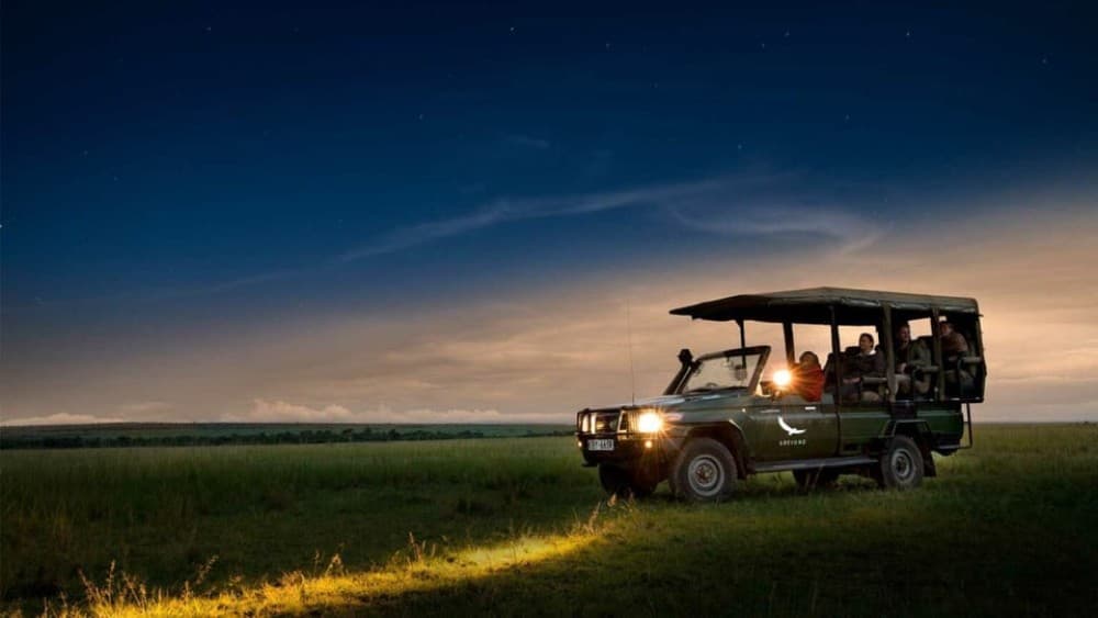 Victoria Falls: Big 5 Night Rhino Game Drive  Bush Dinner | ®ExcursionMania - Image 4