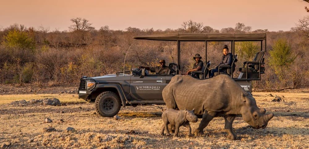 Victoria Falls: Big 5 Night Rhino Game Drive  Bush Dinner