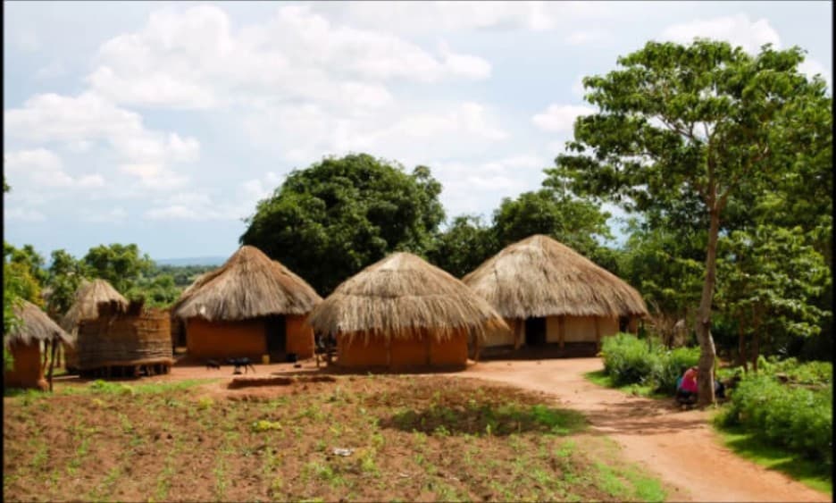 Victoria Falls: Village and Cultural Tour Experience | ®ExcursionMania - Image 4