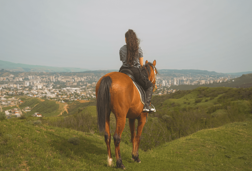 Tbilisi: Horseback Riding Experience | ®ExcursionMania - Image 1