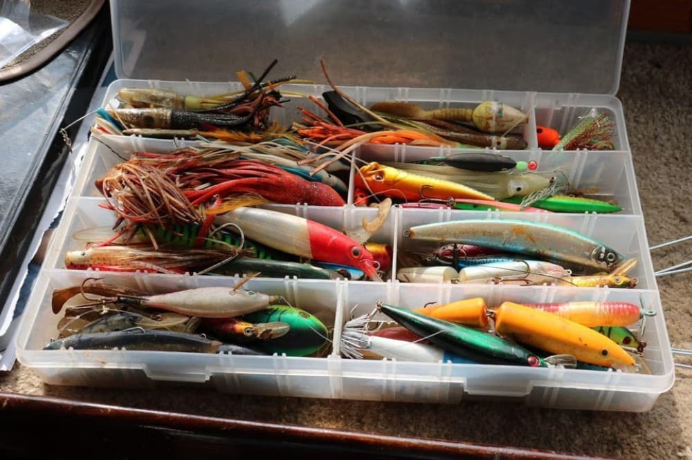 Agadir Boat Trip With Lunch | ®ExcursionMania - Image 8