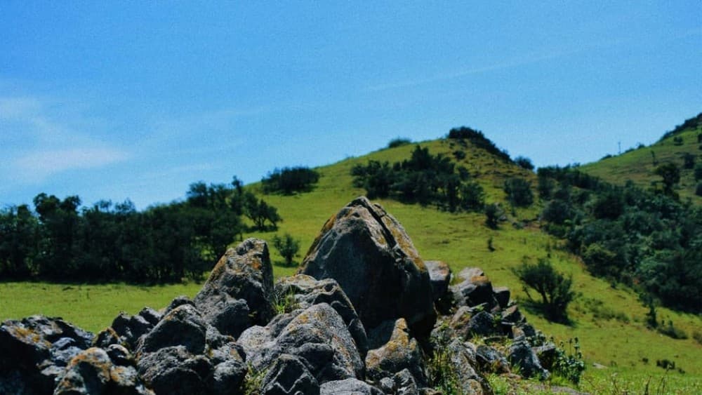 Ngong Hills: Private Hiking Tour | ®ExcursionMania - Image 3