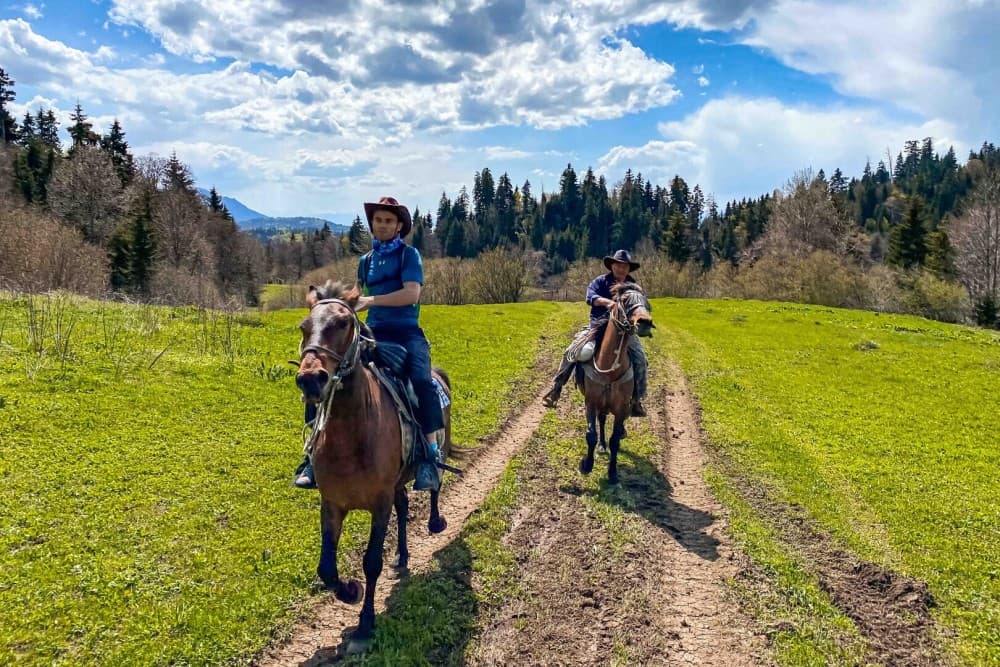 1 Day Horse Riding Adventure in Borjomi Mountains | ®ExcursionMania - Image 6