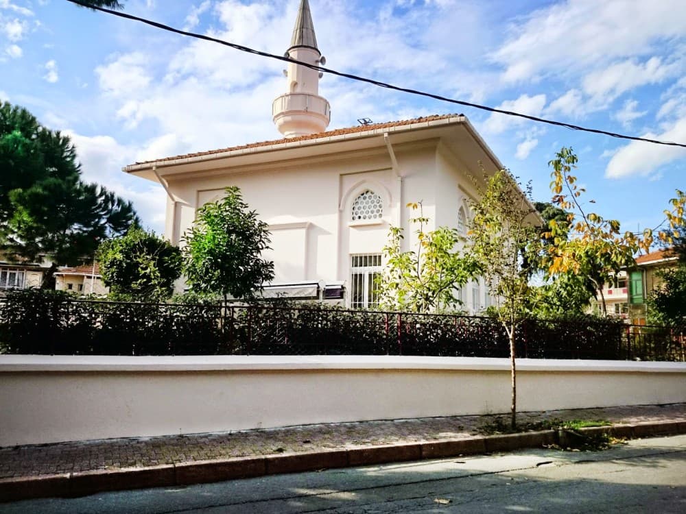 Istanbul: Princess Islands with Lunch and Hotel Transfer | ®ExcursionMania - Image 4