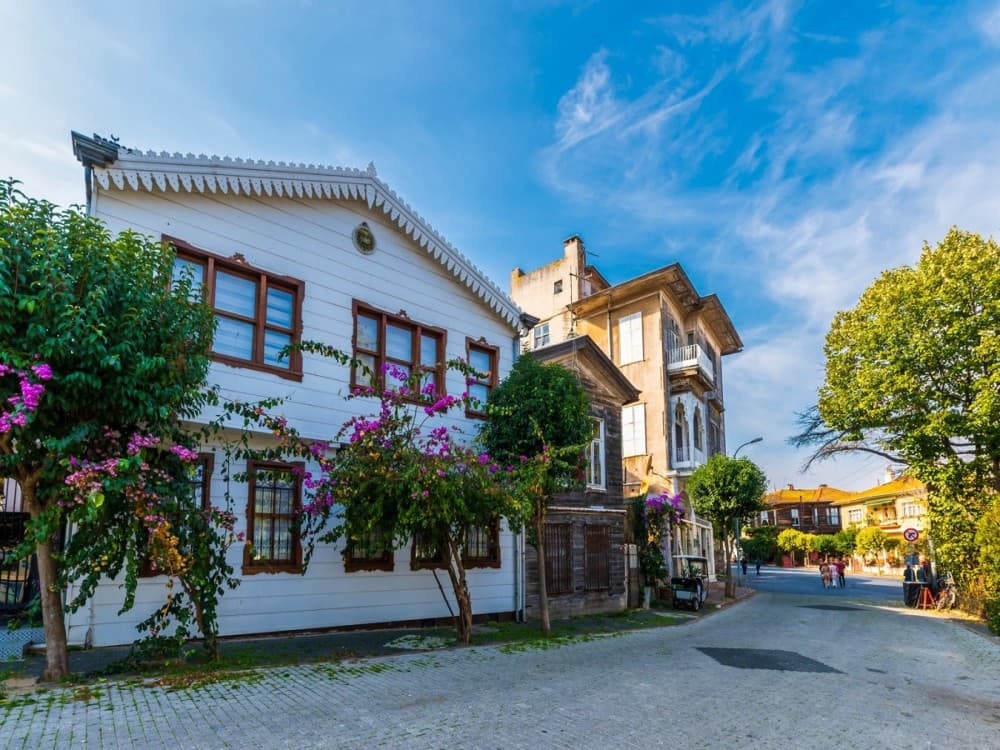 Istanbul: Princess Islands with Lunch and Hotel Transfer | ®ExcursionMania - Image 8