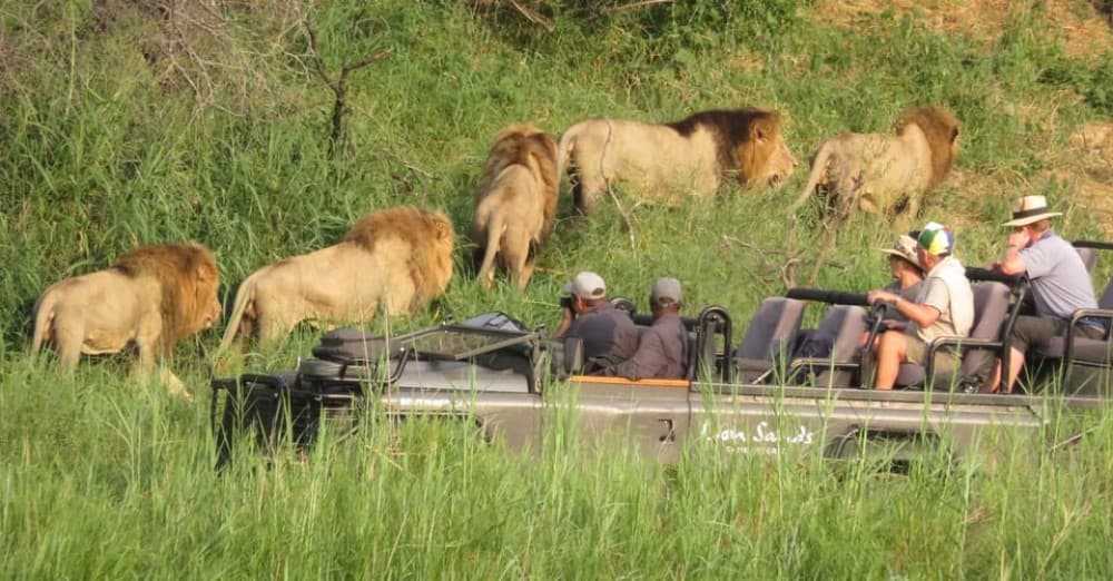 Kasane: Full Day Chobe National Park Safari with Lunch | ®ExcursionMania - Image 6