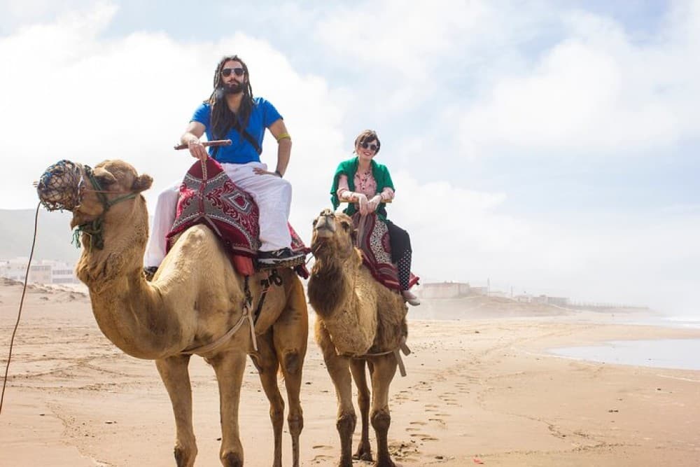 Sunset Camel Ride in Agadir or Taghazout With Transfers | ®ExcursionMania - Image 5