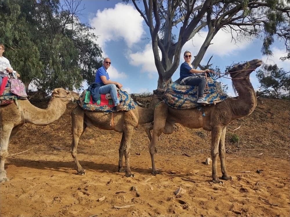 Sunset Camel Ride in Agadir or Taghazout With Transfers | ®ExcursionMania - Image 10