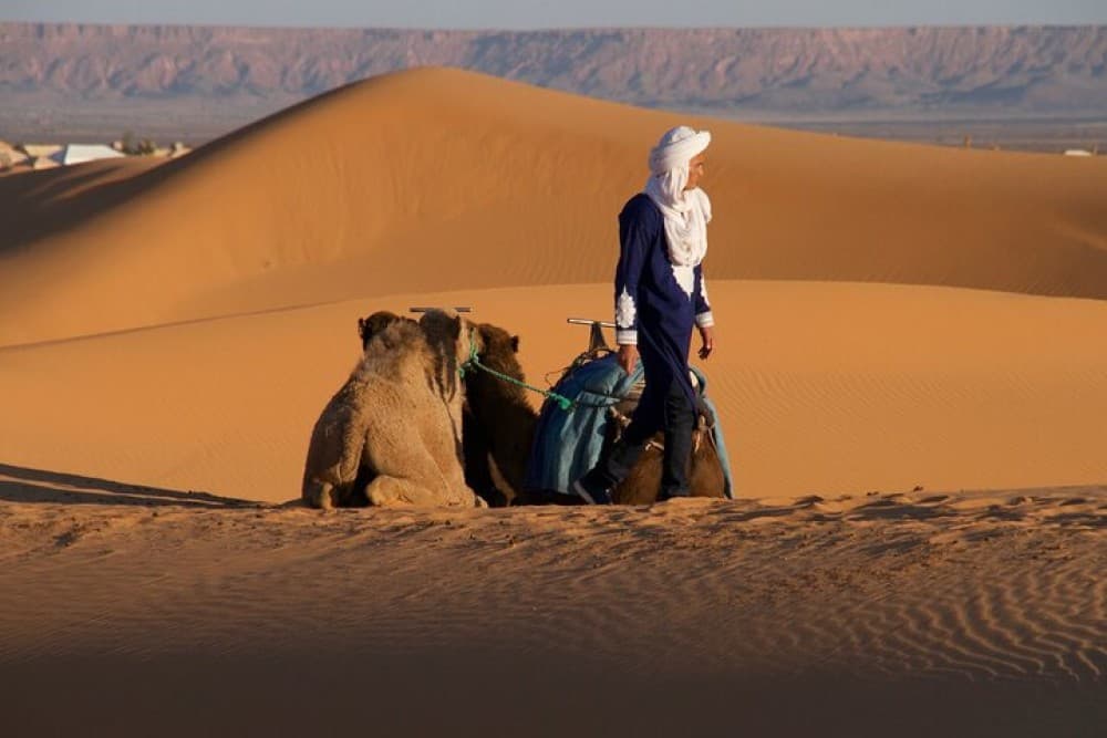 Agadir Desert Trip With Lunch | ®ExcursionMania - Image 3