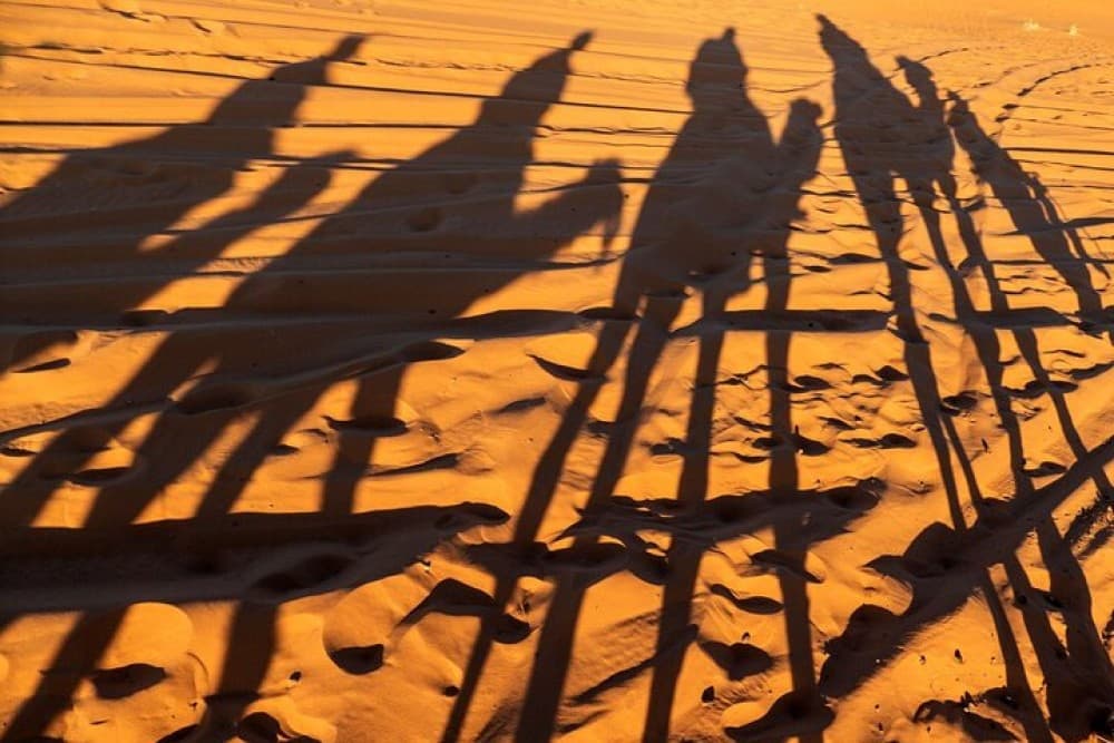 Agadir Desert Trip With Lunch | ®ExcursionMania - Image 7