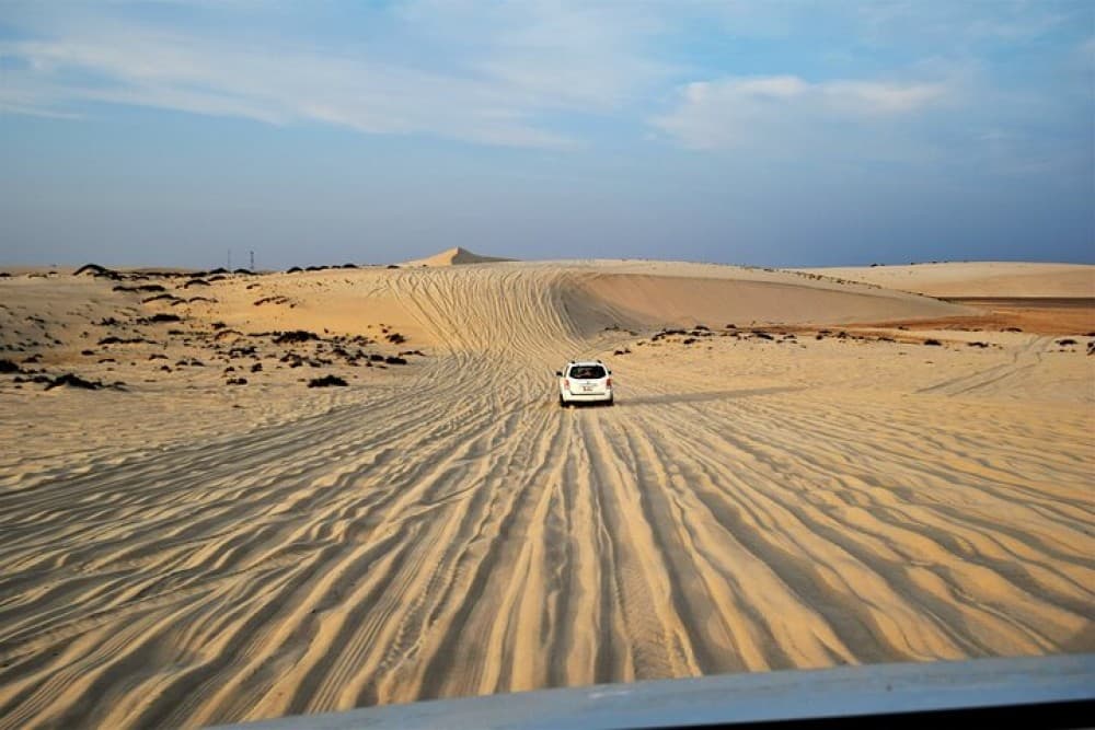 Full-Day Safari Small Desert With Lunch | ®ExcursionMania - Image 3