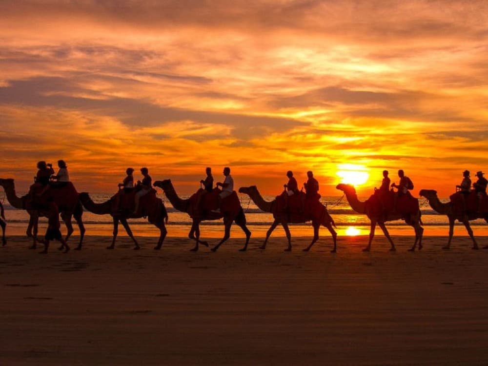 2 Hour Camel Ride From Agadir or Taghazout | ®ExcursionMania - Image 2