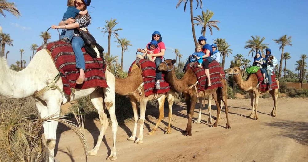 2 Hour Camel Ride From Agadir or Taghazout | ®ExcursionMania - Image 4