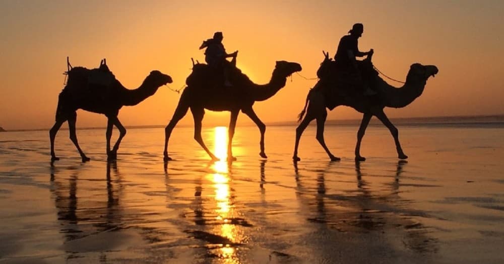 2 Hour Camel Ride From Agadir or Taghazout | ®ExcursionMania - Image 5