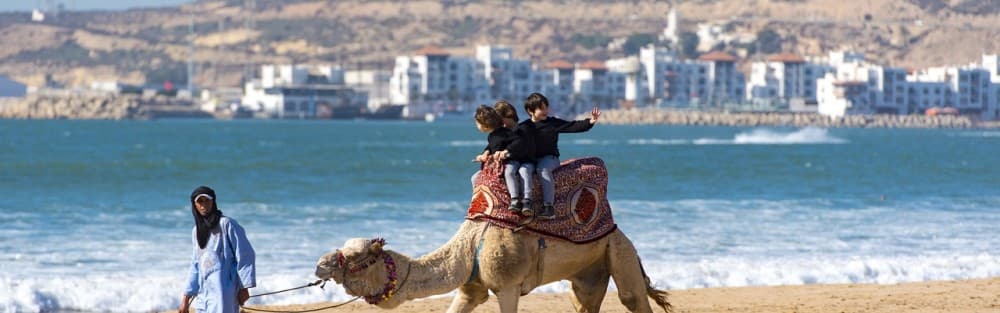 2 Hour Camel Ride From Agadir or Taghazout | ®ExcursionMania - Image 8