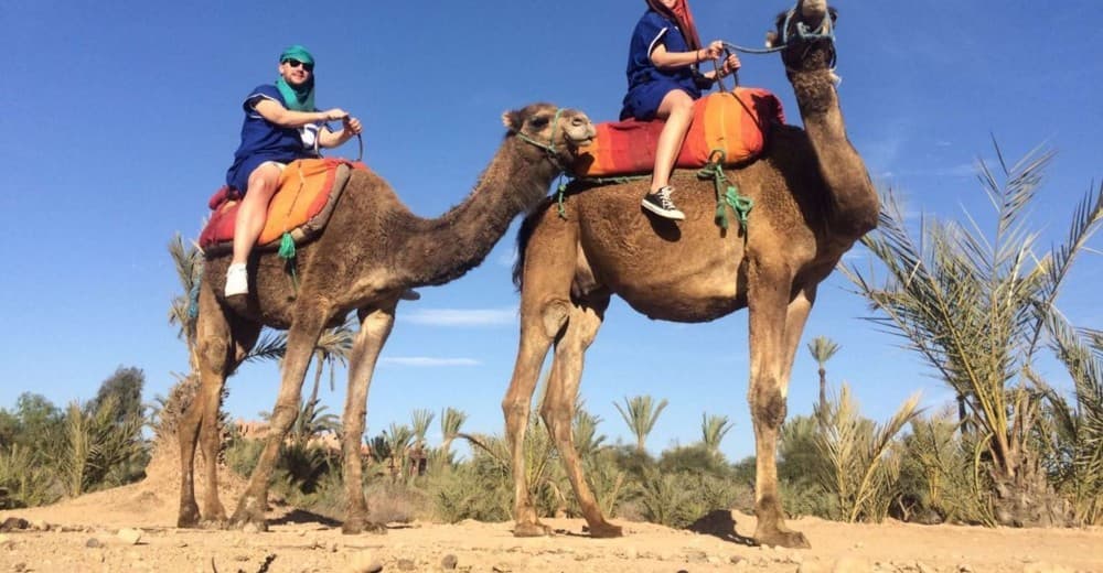 2 Hour Camel Ride From Agadir or Taghazout | ®ExcursionMania - Image 9
