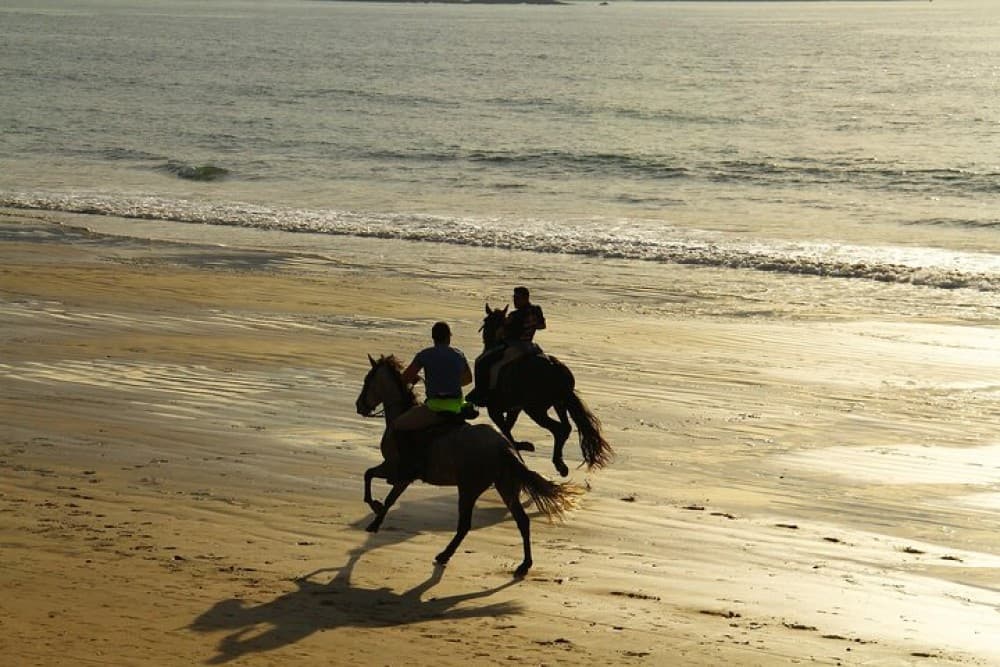 Horse Ride in Taghazout or Agadir | ®ExcursionMania - Image 1