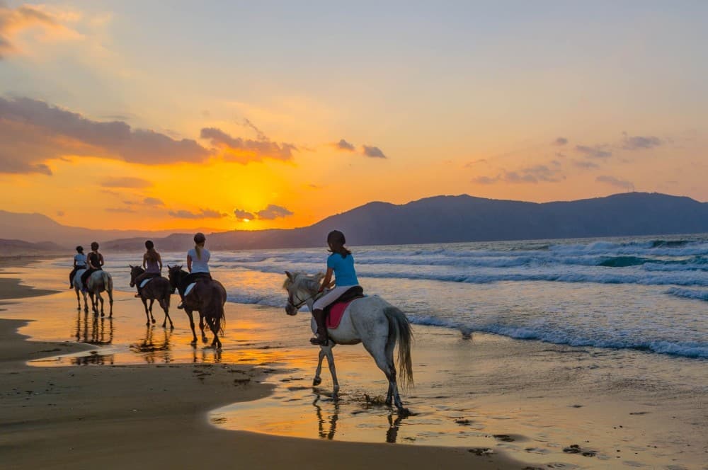 Horse Ride in Taghazout or Agadir | ®ExcursionMania - Image 5