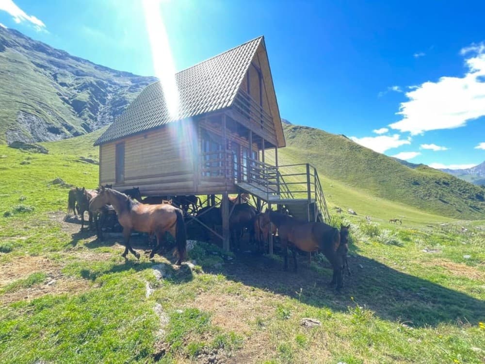 Kazbegi: Horse Riding Adventure from Rooms Hotel Kazbegi | ®ExcursionMania - Image 5