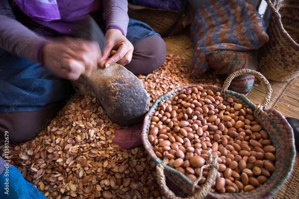 Argan Oil Factory in Agadir and Learn About The Magic Oil | ®ExcursionMania - Image 3