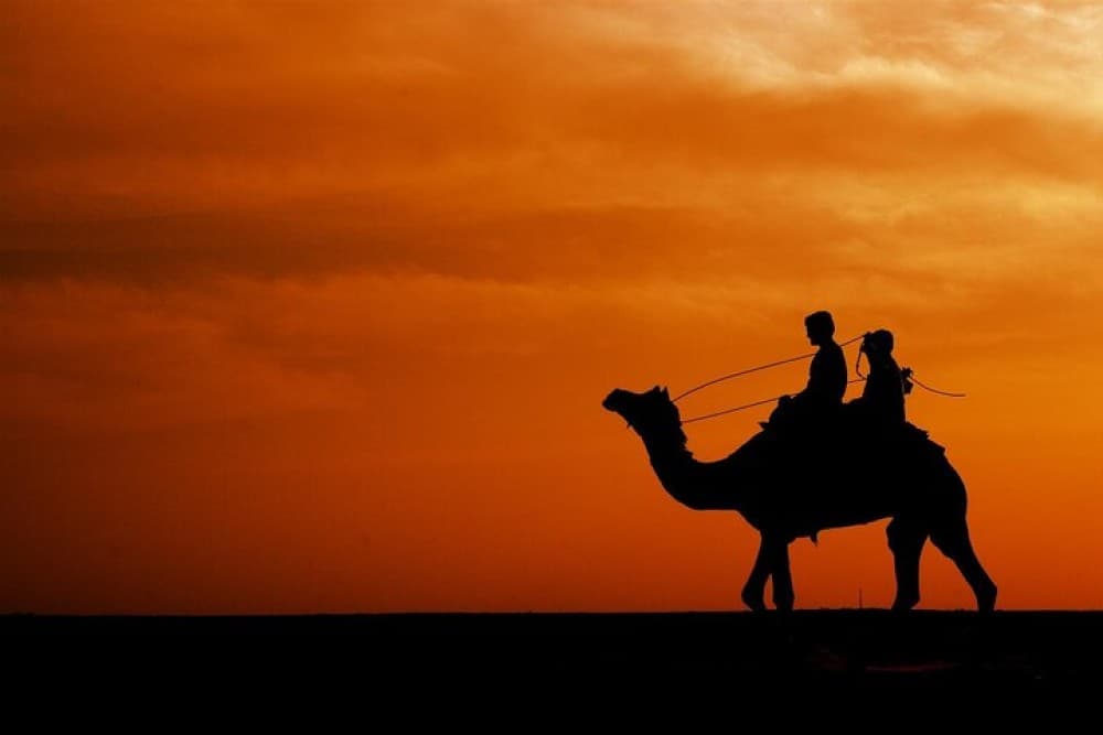 Paradise Valley and Camel Ride at Sunset Pass | ®ExcursionMania - Image 4