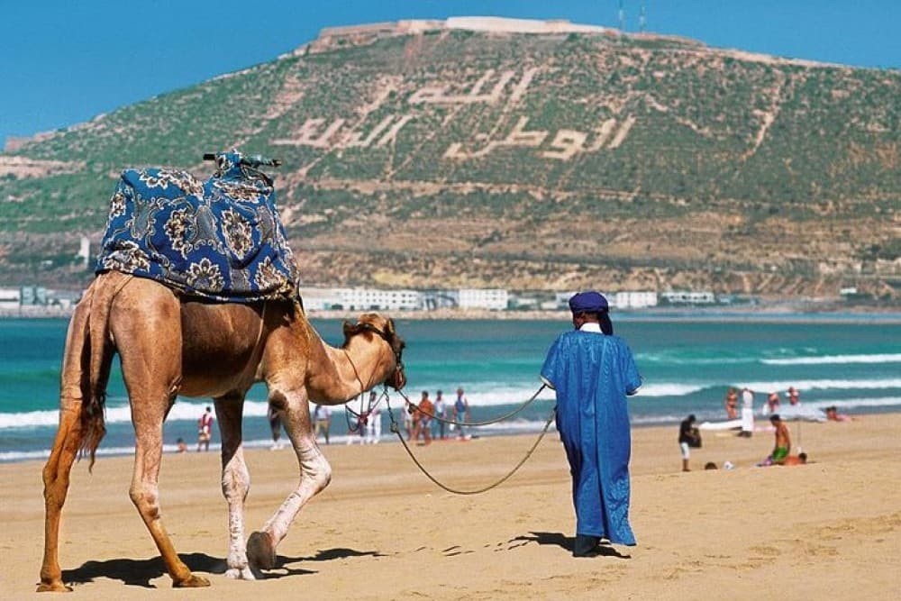 Agadir City Discovery in 3 Hours With Pick up and Drop off | ®ExcursionMania - Image 4