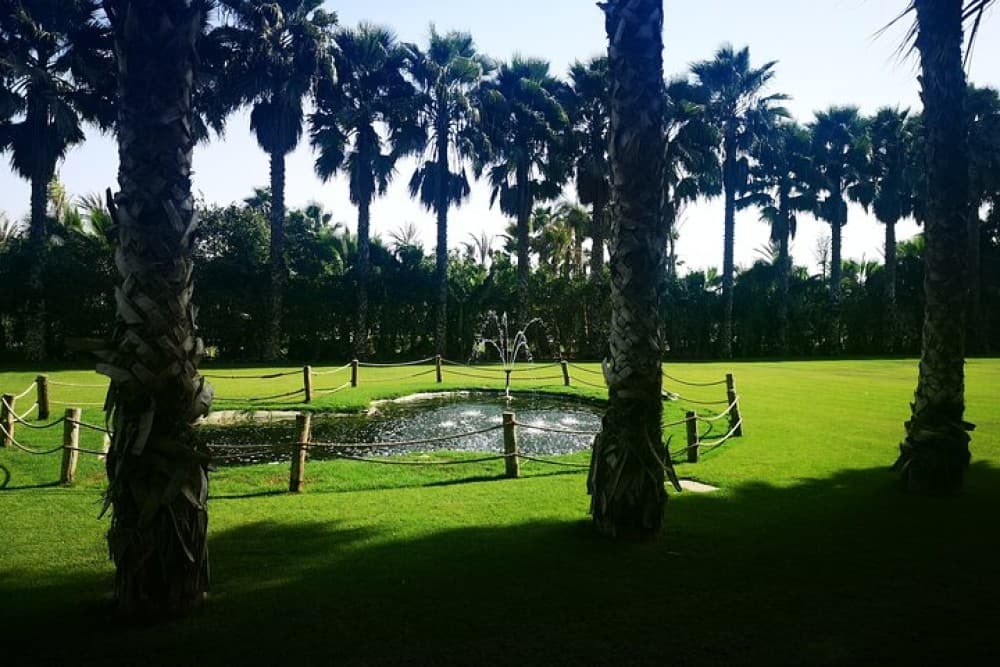 Agadir City Discovery in 3 Hours With Pick up and Drop off | ®ExcursionMania - Image 5