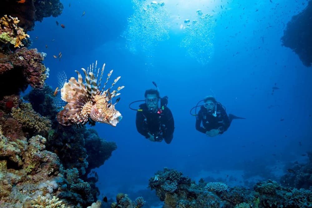 Full-Day Racha Yai Private Scuba Diving Course from Phuket | ®ExcursionMania - Image 6