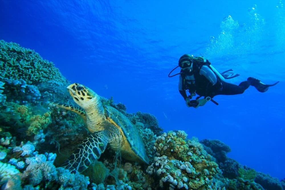 Full-Day Racha Yai Private Scuba Diving Course from Phuket | ®ExcursionMania - Image 8