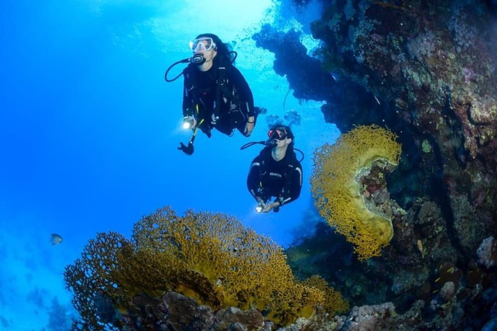 Full-Day Racha Yai Private Scuba Diving Course from Phuket | ®ExcursionMania - Image 10