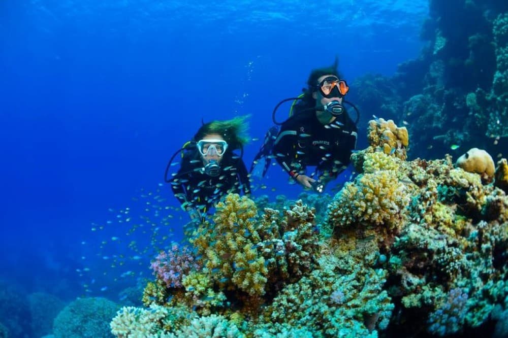 Full-Day Racha Yai Private Scuba Diving Course from Phuket | ®ExcursionMania - Image 12