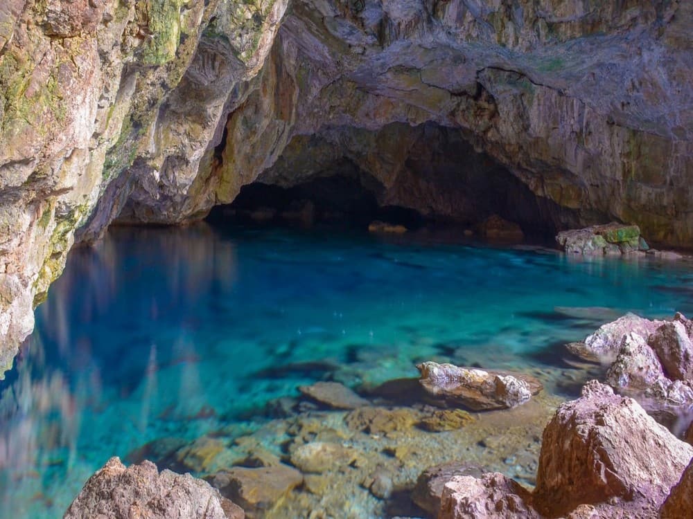 From Kusadasi: Full-Day National Park Jeep Tour with Lunch | ®ExcursionMania - Image 8