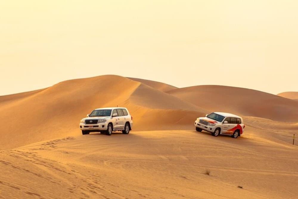 Liwa Full Day Desert Safari from Abu Dhabi | ®ExcursionMania - Image 2