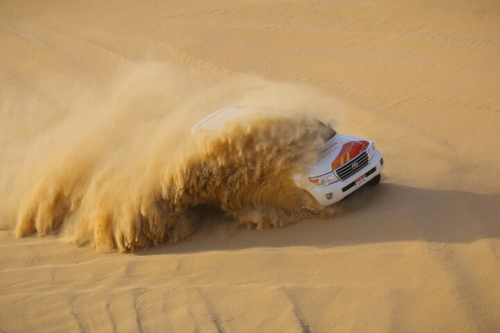 Liwa Full Day Desert Safari from Abu Dhabi | ®ExcursionMania - Image 3