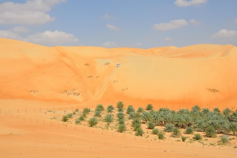 Liwa Full Day Desert Safari from Abu Dhabi | ®ExcursionMania - Image 8