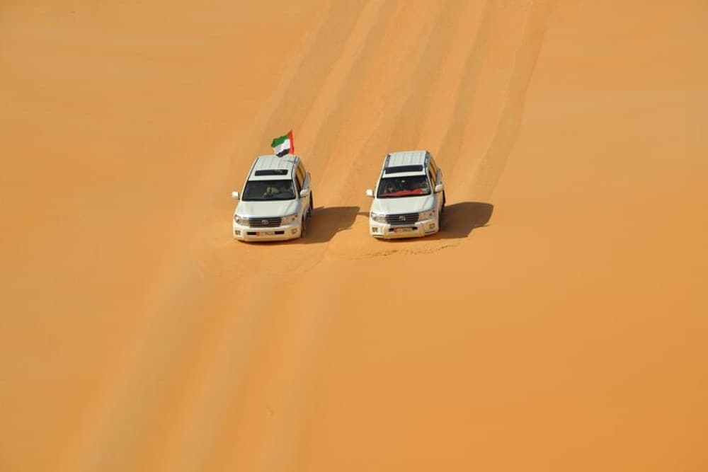 Liwa Full Day Desert Safari from Abu Dhabi | ®ExcursionMania - Image 9