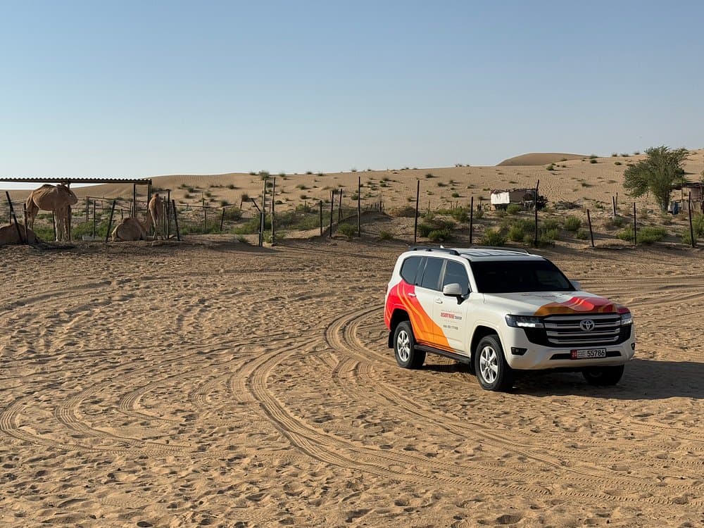 Morning Safari With Quad Bike | ®ExcursionMania - Image 9