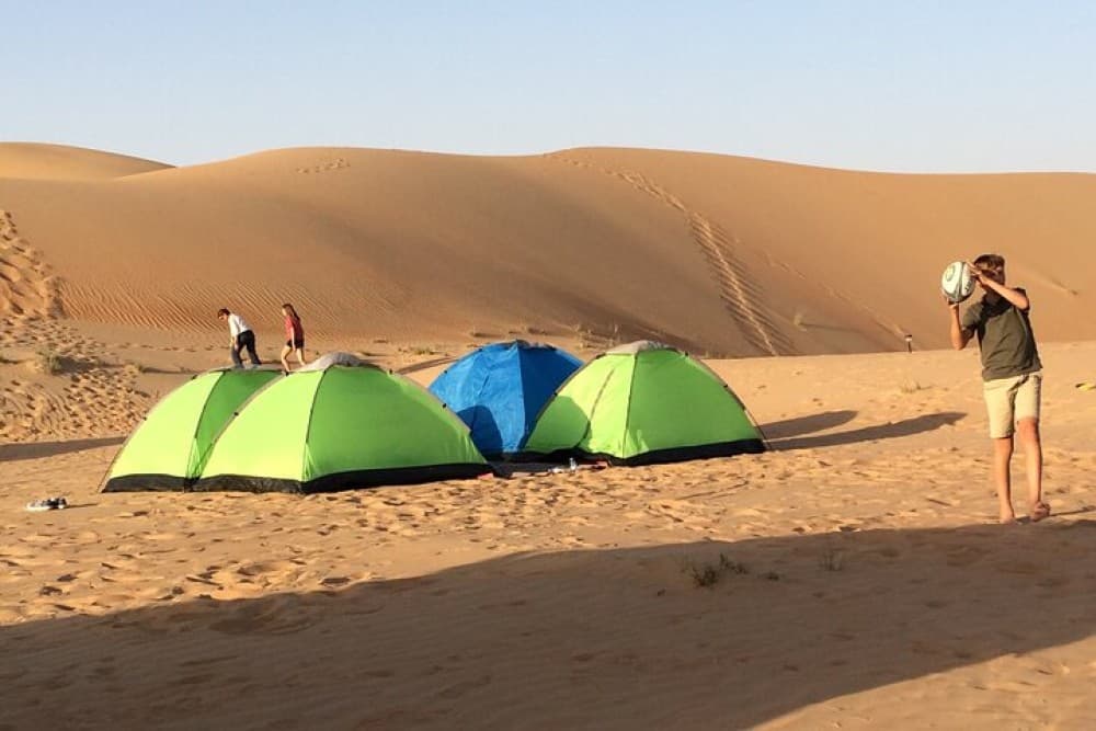 Liwa Over Night Safari | ®ExcursionMania - Image 5