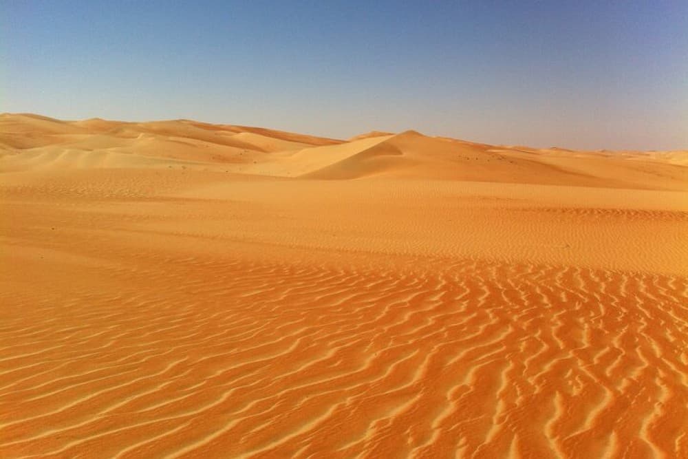 Liwa Over Night Safari | ®ExcursionMania - Image 7