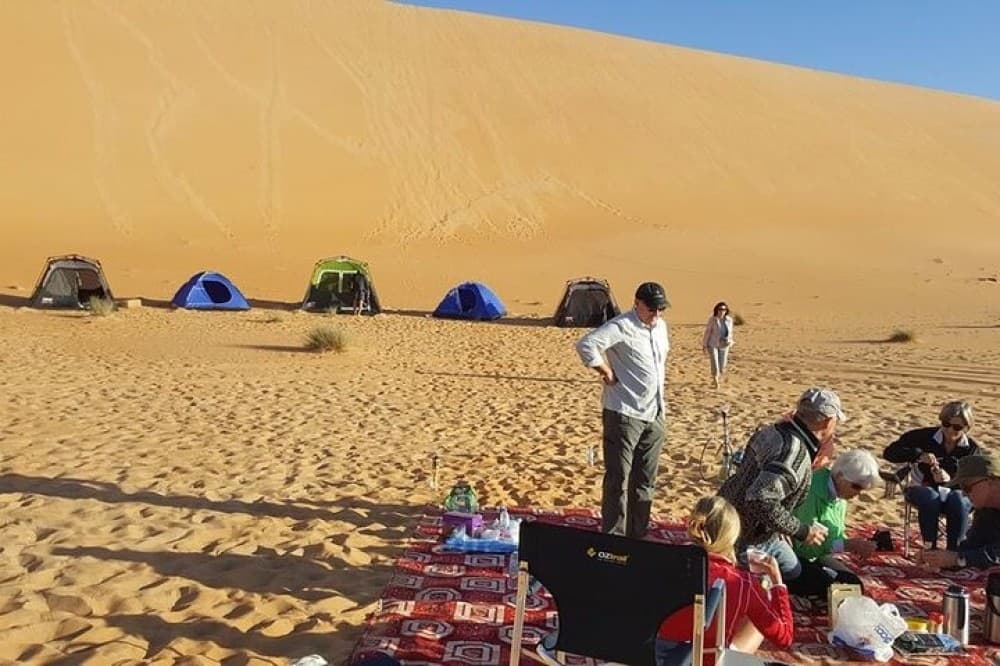 Liwa Over Night Safari | ®ExcursionMania - Image 9
