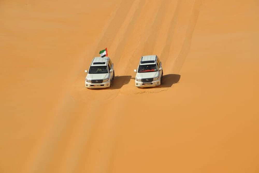 Liwa Over Night Safari | ®ExcursionMania - Image 2