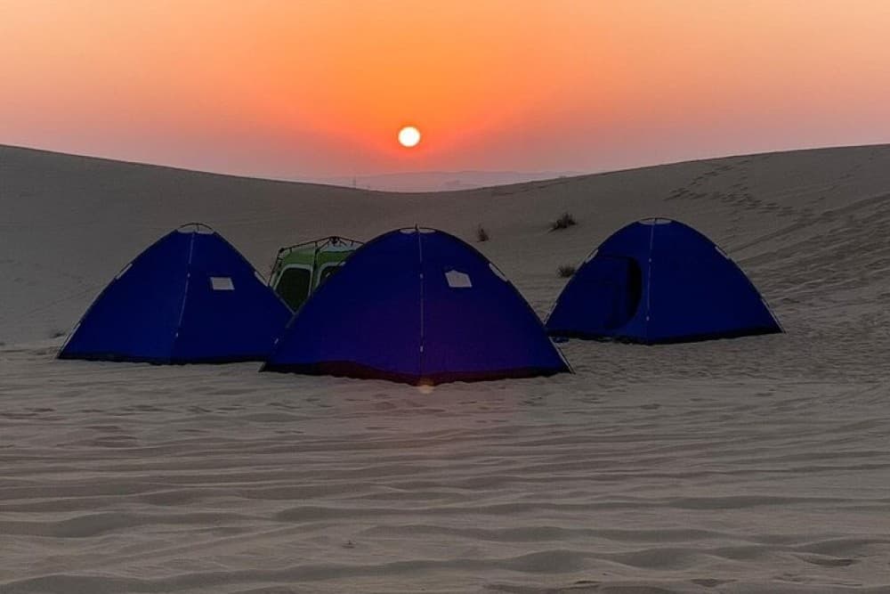Liwa Over Night Safari | ®ExcursionMania - Image 12