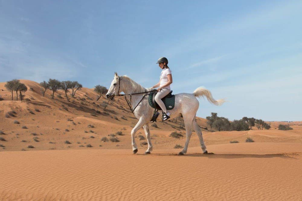 1 Hour Guided Horse Riding Activity in Sharm El Sheikh | ®ExcursionMania - Image 2
