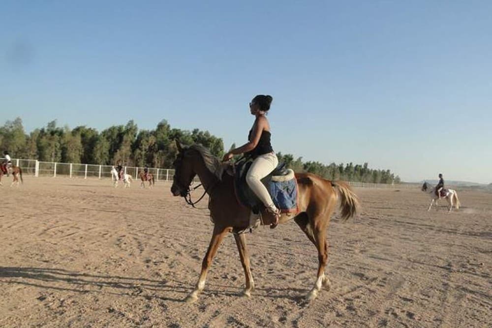 1 Hour Guided Horse Riding Activity in Sharm El Sheikh | ®ExcursionMania - Image 4